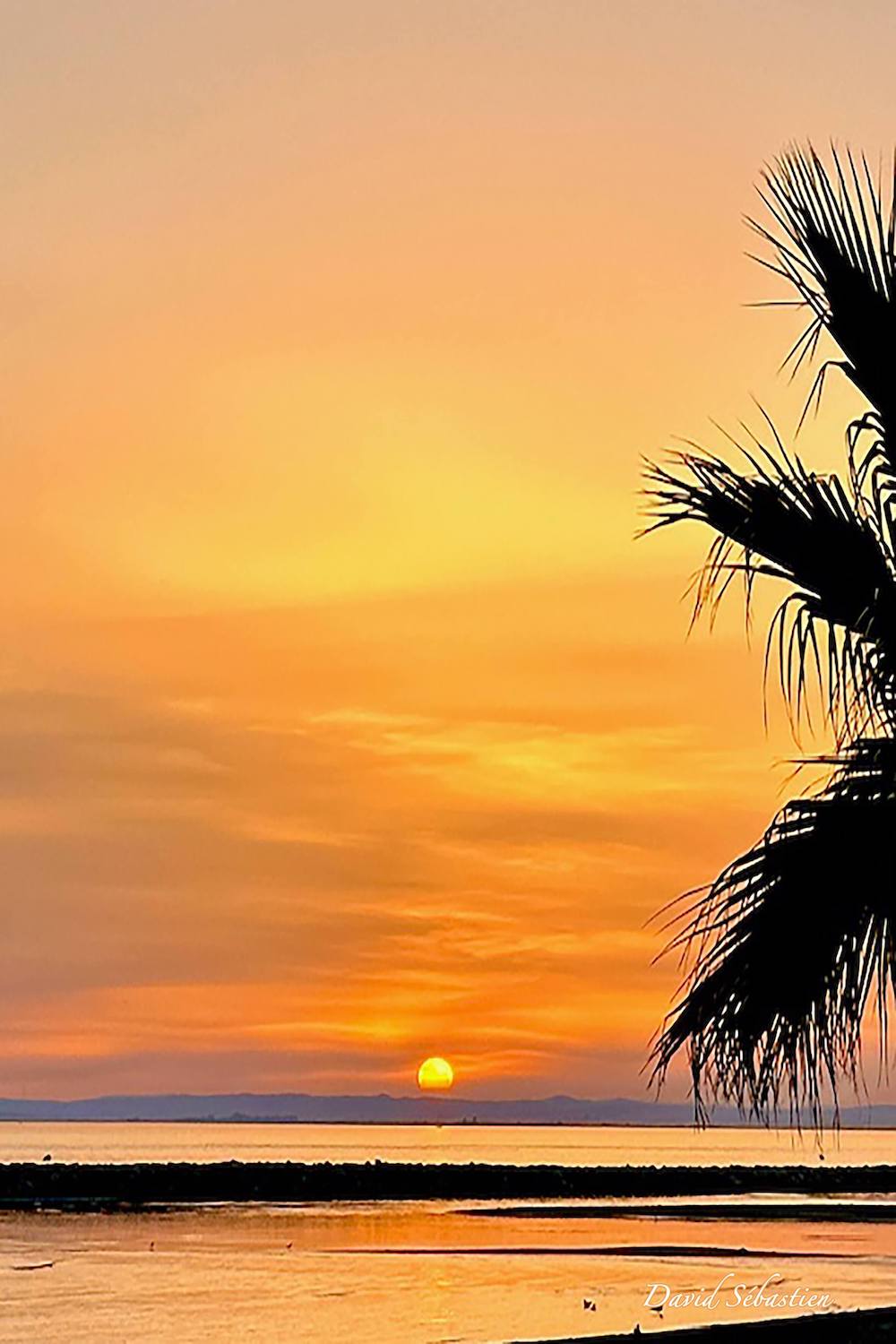 Cathdad créations Un soir d’été à Port Camargue